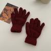 Winter Warm Gloves Stretchy Mittens Adult Coral Velvet Solid Color Full Finger Gloves Skiing Gloves for Cold Weather