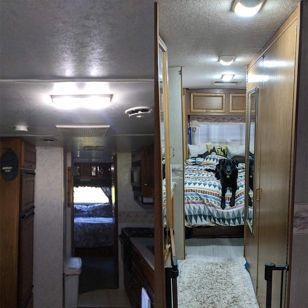 AUXLIGHT 20 PCS 1156 1141 1003 7506 BA15S RV Interior Light Bulbs, Super Bright 50SMD LED Replacement For 12 Volt RV Camper Trailer Boat Trunk