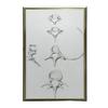 Kręgosłup W Szczegółach: Anatomia C6, C7, Th5 I L4 - Plakat Anatomiczny Kręgosłup W Szczegółach: Anatomia C6, C7, Th5 I L4 - Plakat Anatomiczny, 50X70