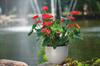 Muna 30 Round Flowerpot | Anthracite