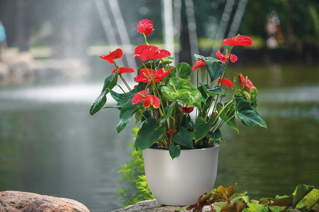 Muna 30 Round Flowerpot | Anthracite