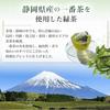 Marukou Jokin Seicha Rich Flavor Green Tea Bags 6g30 (Equivalent 60 Twice Normal Amount) Suitable Cold Brew Made First-Flush from Shizuoka Prefecture