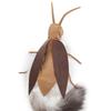 Halloween Pet Costume, Cockroach Cosplay Outfit for Dogs & Cats,  Novelty Pet Accessory for Holiday Party