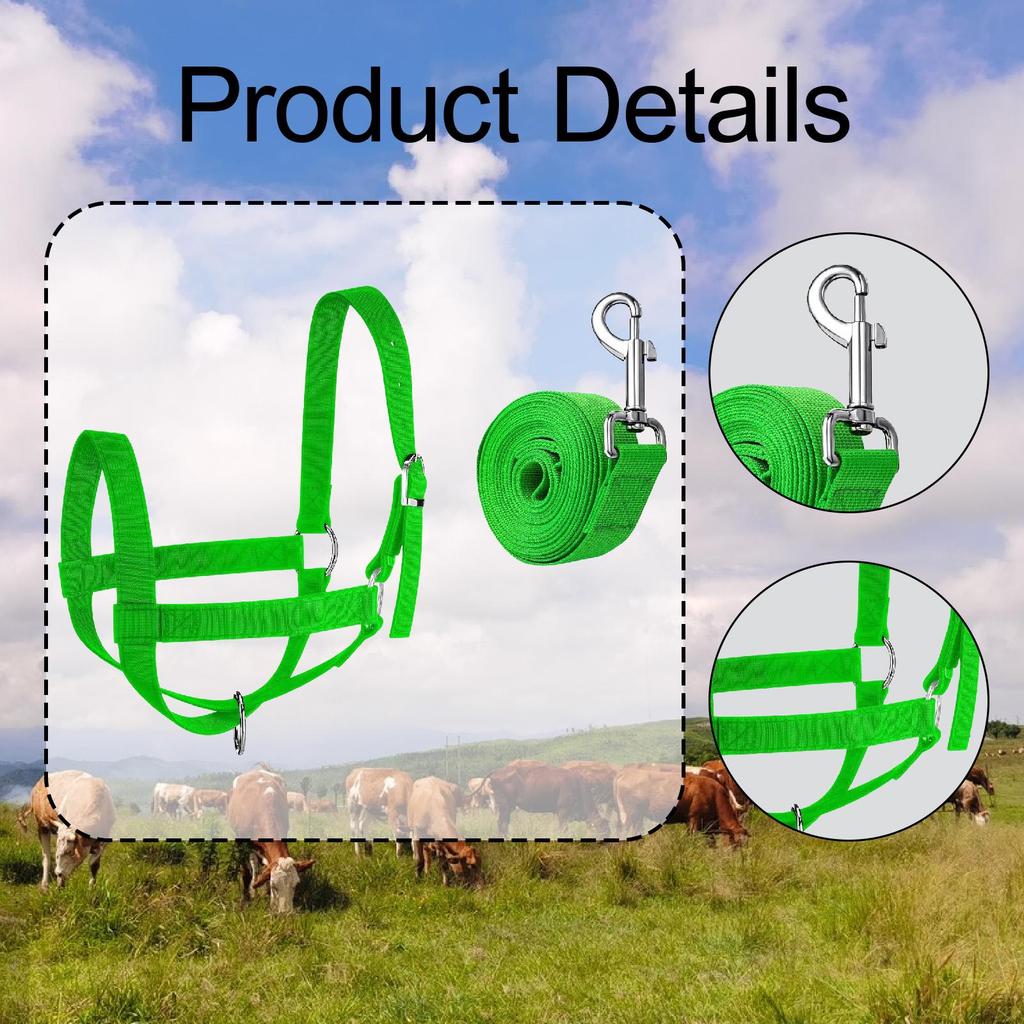 Nylon Cow Halter Training Supplies Heavy Duty Supply Compact Horse Sheep