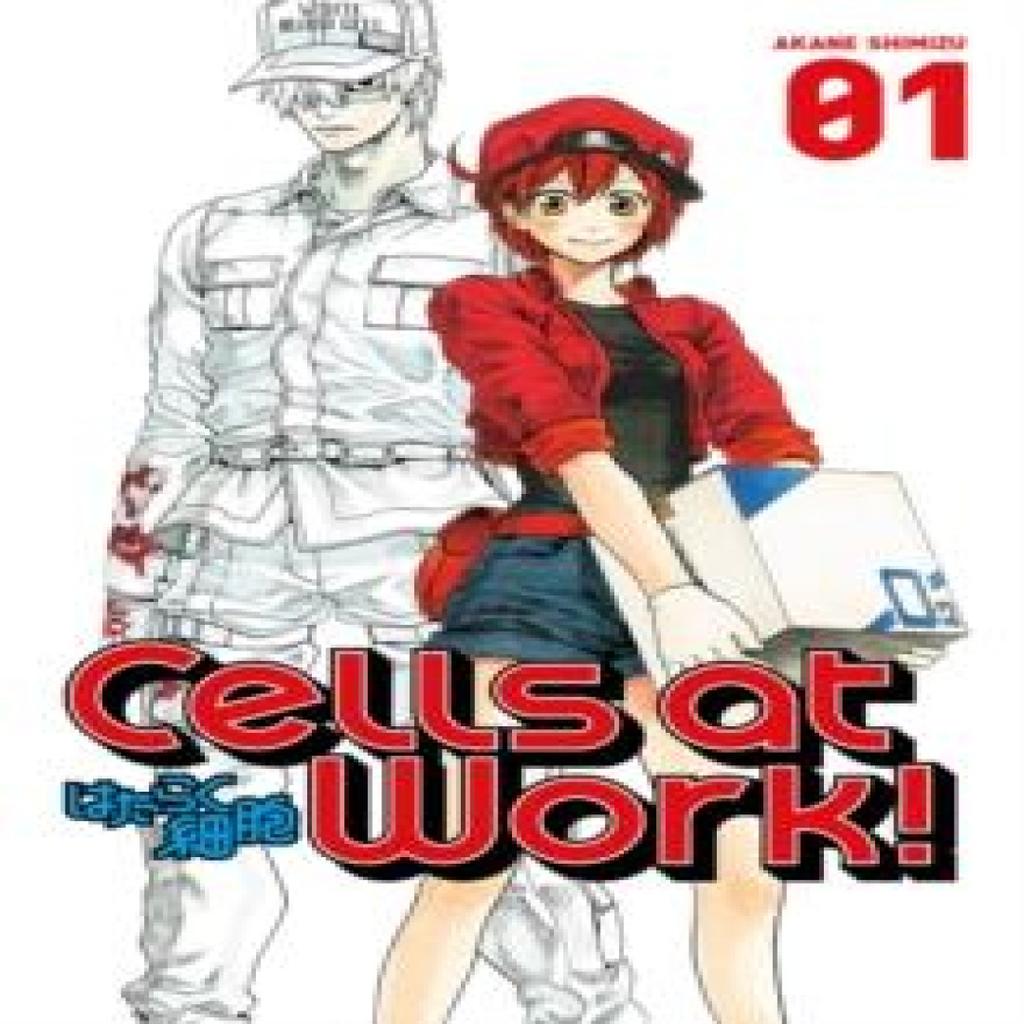 Cells At Work 1 by Akane Shimizu Paperback Book 9781632363565