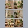 Cute Frogs Climbing Ladder With Wine Cup Wall Hanging Decors Resin Sculpture For Home Bookshelves And Garden Decoration