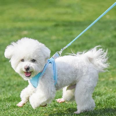 Pet Harness and Leash Set for Small Dogs Reflective Puppy Harness Anti Escape Meash Cat Chest Strap Dog Walking Supplies