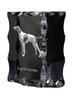English Pointer - Crystal with a Picture of a Dog, Glass Statuette with a Picture, Unique Frame with a Picture from Art-Dog Brand