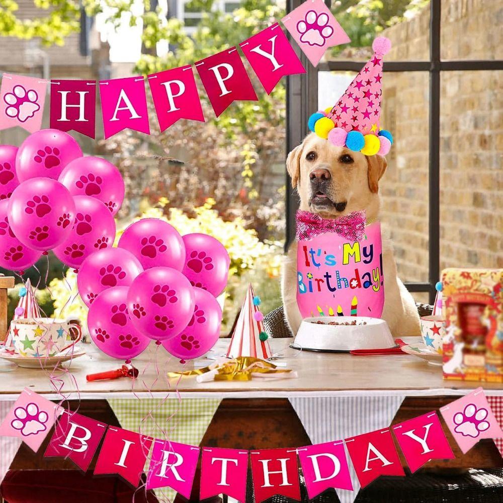 Cute Pet Birthday Party Set Decorative Dog Sequins Hat Dog Birthday Bib and Party Hat Birthday Banner Soft