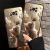 Handyhülle Case für Xiaomi Poco F8 C50 M3 M4 M7 C75 F3 C71 F1 C61 M5 X3 X4 X5 X7 Pro Süße Katze