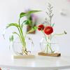 Wooden Stand Hydroponic Plants Container Transparent Glass Plants Glass Vase  Weddings