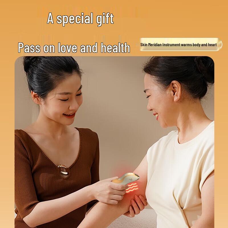 HeZheng Mini Electric Facial Gua Sha Massager with EMS and Hot Compress