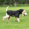 Four Legged Waterproof Raincoat Dog With Hood Rain Split Type Full Pack Raincoat Waterproof Jacket Small And Medium-sized Dog