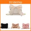 2024 New Arrival Ins Pure Color Butterfly Bow Crossbody Bag Women's Shoulder Bag Chain Bag