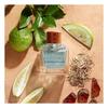 Hollister - Canyon Escape for Him Eau De Toilette 100 Ml - 
