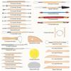 32PCS Clay Tools with Wire Sculpting Tools Pottery Modeling Ceramics Polymer Tools Set for Air Dry Clay Carving Molding