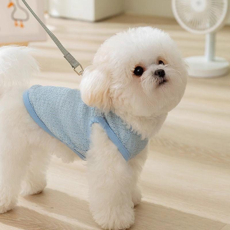 Summer Vest for Small Dogs and Cats – Lightweight Leash-Friendly Attire for Bichon, Teddy, Pomeranian, and Yorkshire