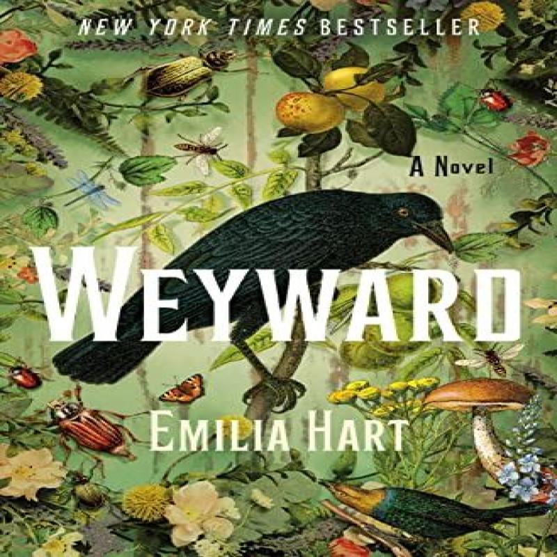 Weyward by Emilia Hart Hardback Book 9781250280800