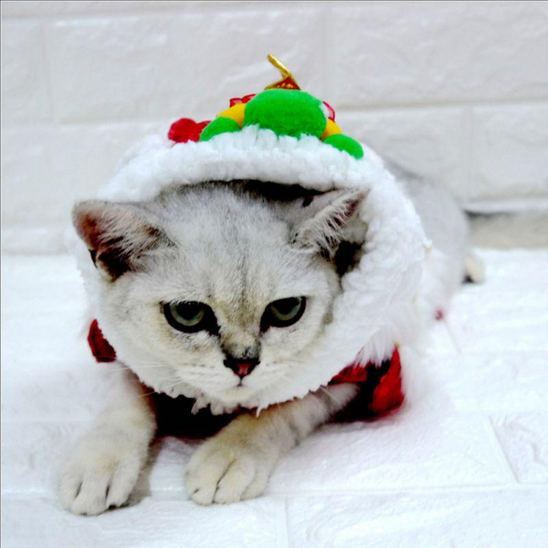 Pet Dog Clothes New Year Chinese Lion Dance Costume Coat For Teddy Costume Small Dog Spring Festival Tang Suit Clothing