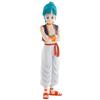First General Figure Dragon Ball Bulma Goku Training Bandai Spirits Master Lies Figure - - (Son Division), Collector's