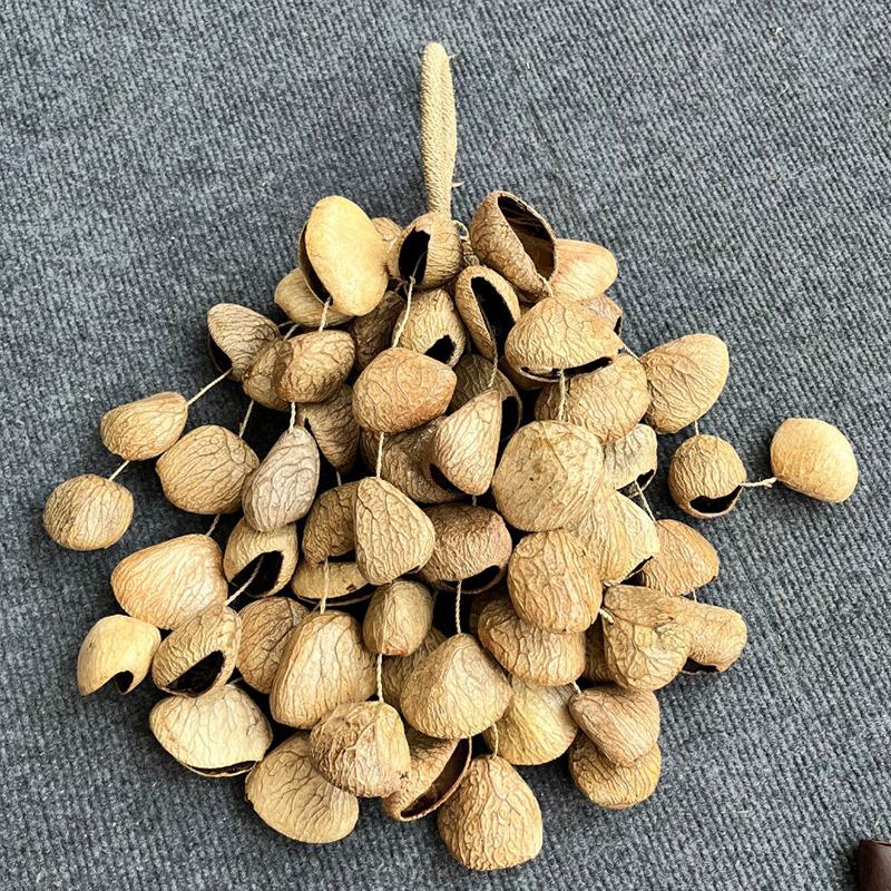 Wind Chimes Natural Seeds Ringing Hand Bell Percussion Rare Musical Instrument Healing Sounds Meditation Accessories