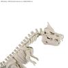 BANDAI SPIRITS Plastikový model Kolekce Série Fosilie Tyrantrum Plastikový modelový kit Pokémon Pokémon (Předbarvené)