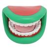 Mouth Puppet with Tongue Toothbrush 28 Teeth Health Presentation Speech Training Dental Mouth Hand Puppet for Children
