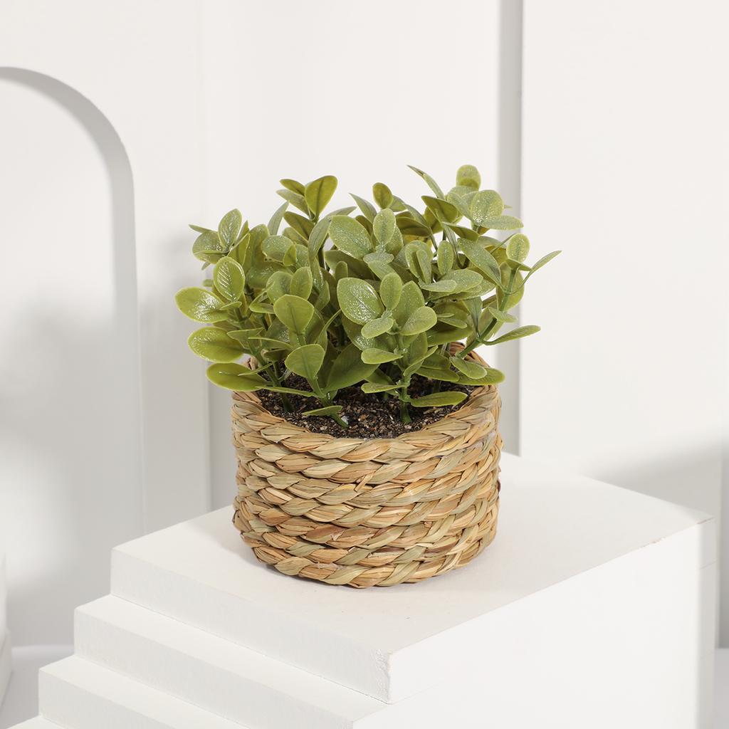 Green Artificial Plants Eucalyptus Grass Woven Small Potted Plants Grass Mound 11cm PE Material Home Decoration