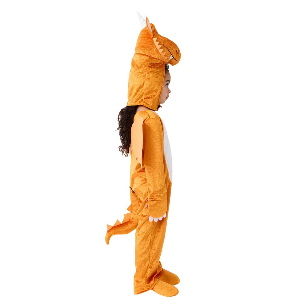 The Gruffalo Childrens/Kids Zog 3D Costume