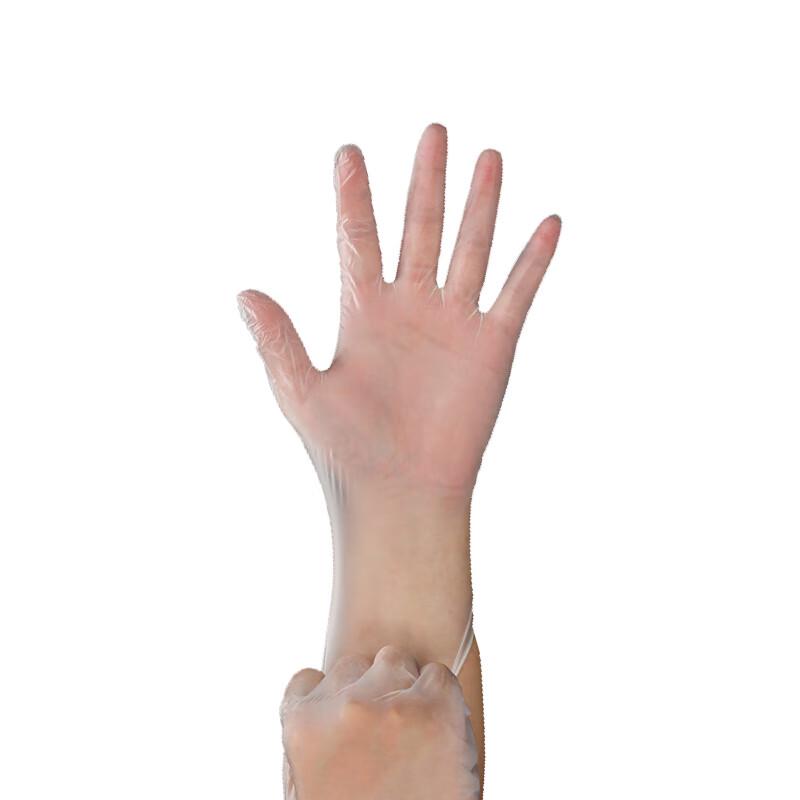 Anbikang 0783 Disposable PVC Gloves, 100 Count