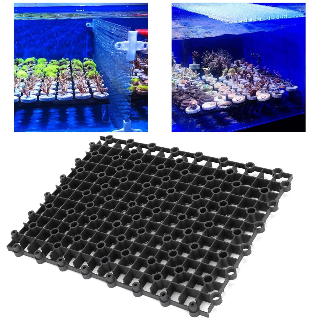 10 Pcs Aquarium Fish Tank Multifunction Isolation Board Divider Bottom Filter Plate10Pcs Isolation