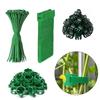 Plant Training Clip and Tie Set with Hook-and-Loop Bands, Plastic and Nylon Securing Pieces for Indoor Pot Care, Balcony Garden Care and Climbing