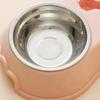 2 In 1 Cat Bowl Water Dispenser Automatic Water Storage Bottle Pet Dog Cat Food Bowl Container With Waterer Pet Waterer Feeder