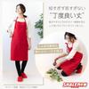 Charemon 60th Birthday Celebration [Cast] [Red Silky Apron] FBA