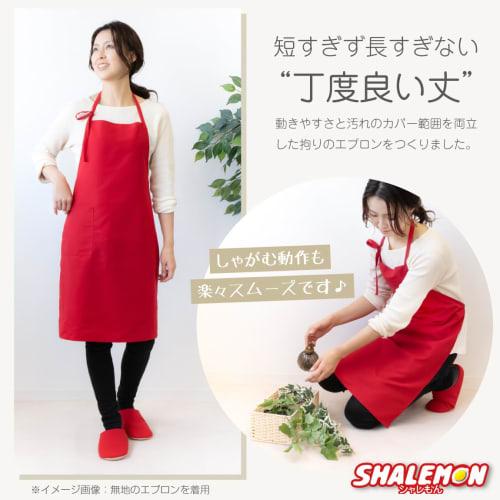 Charemon 60th Birthday Celebration [Cast] [Red Silky Apron] FBA