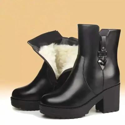 Winter Boots Women 2024 New Thick Plush Ankle Snow Boots Women High Heels Botas Mujer Invierno Outdoor Women Casual Warm Boots