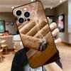 Smoking Cigar Case For iPhone 17 16 15 14 13 12 11 Pro Max Mini Plus 16e 17 Air Bumper Cover Accessories