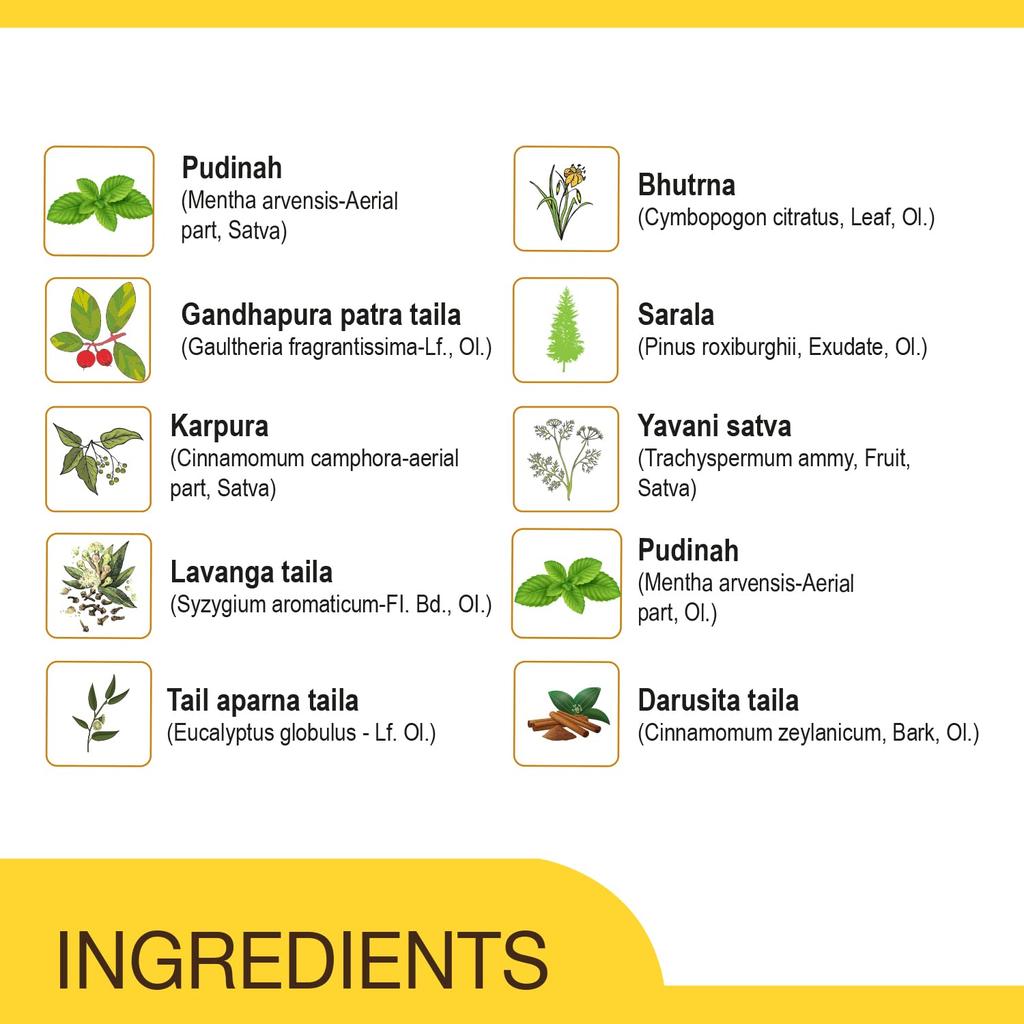 Amrutanjan Pain Balm Extra Power 8 Ml Pack Of 6 | Natural Herbal Aromatic Balm For Headache, Stress And Cold-Related Body Discomfort Relief