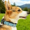 Dog Collar Reflective Adjustable Senior Pet Magnet Neck Collar For Travel Holiday Training Living Room Night Walking Camping