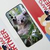 Koala Case For Samsung Galaxy A36 A35 A55 A06 A16 A26 A56 A53 A32 A52 A33 A13 A14 A34 A54 A17 A15