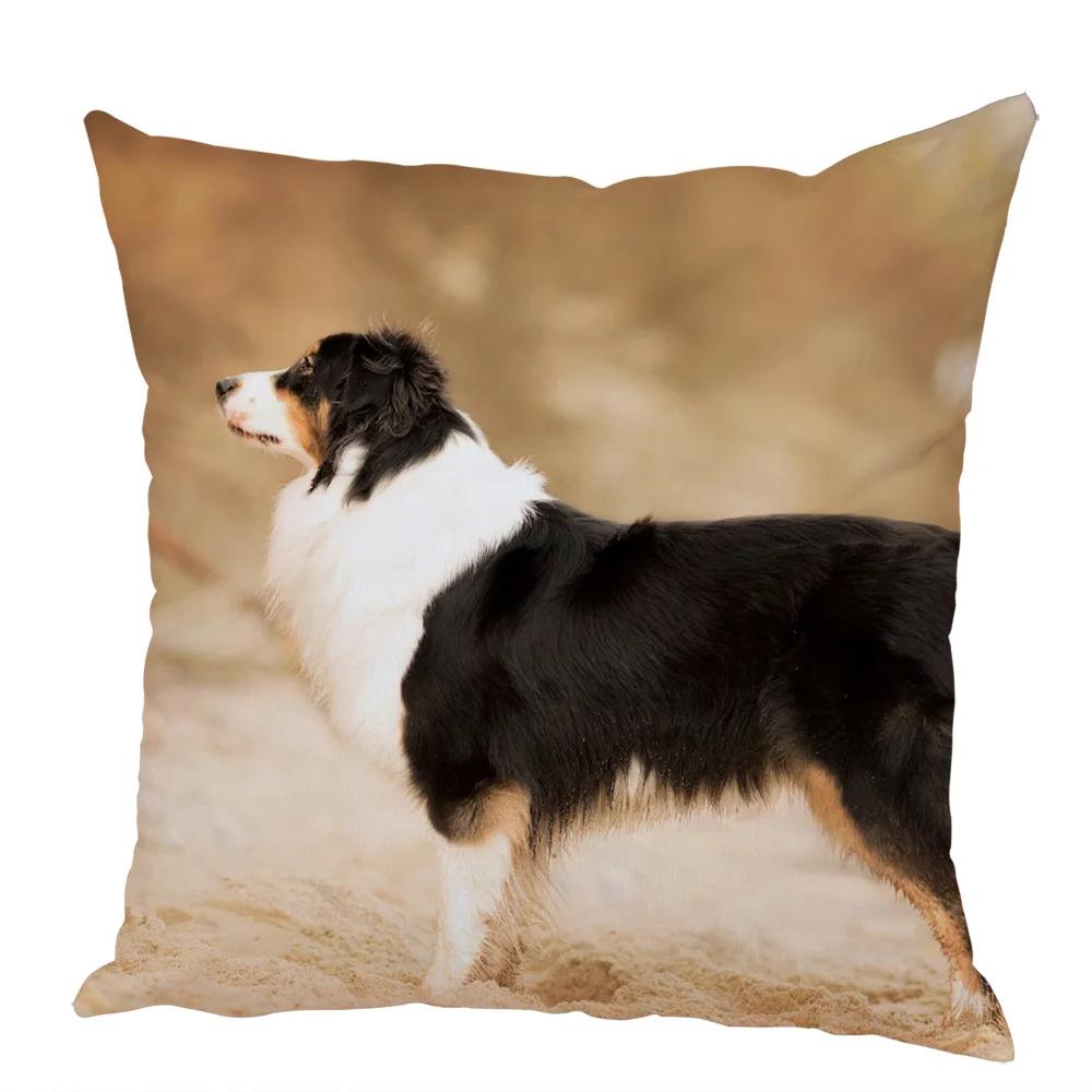 Cute Australian Shepherd Dog Pillow Case Peach Skin Decor Pet Animal Cushion Cover Thorw Pillowcase for Sofa Home Car 45x45cm
