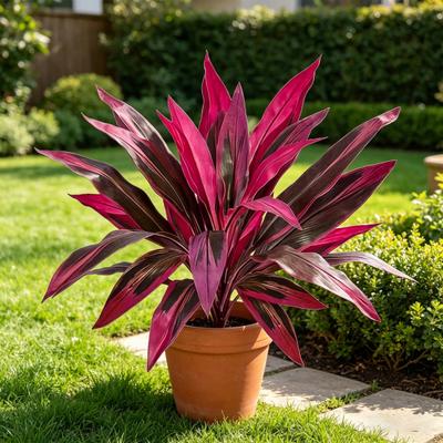 Boligdekorationer – Pynteblomster og -kranse