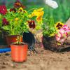 100pcs 10cm Seeding Nursery Pot Soft Plant Nursery Pots Flowerpot Plastic Grow Box Home Garden Planting Accessories