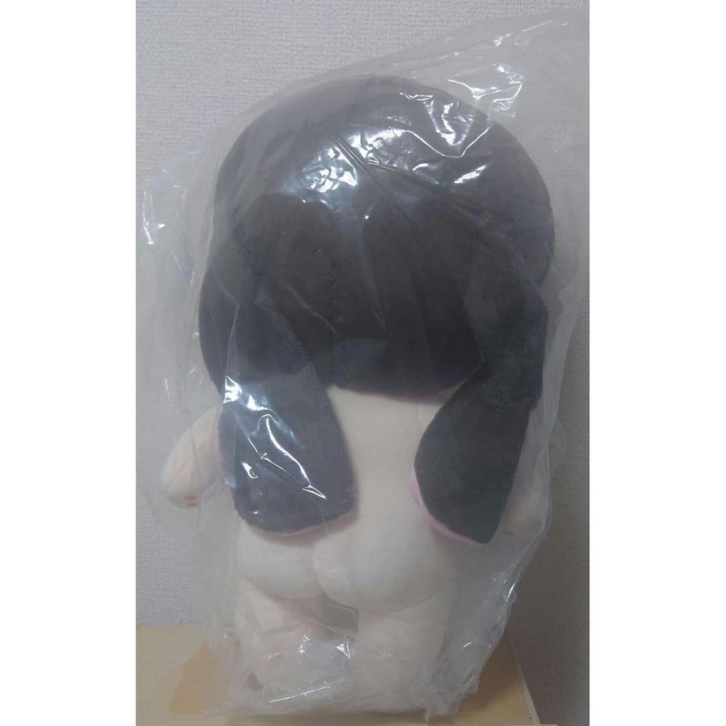 Used Taehyung Tete BTS 40cm stuffed toy V