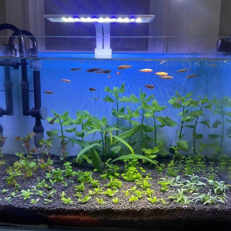High Brightness Mini Aquarium LED Clip Light Ultra Thin Waterproof Design for Small Nano Betta Fish Tanks Desktop Use
