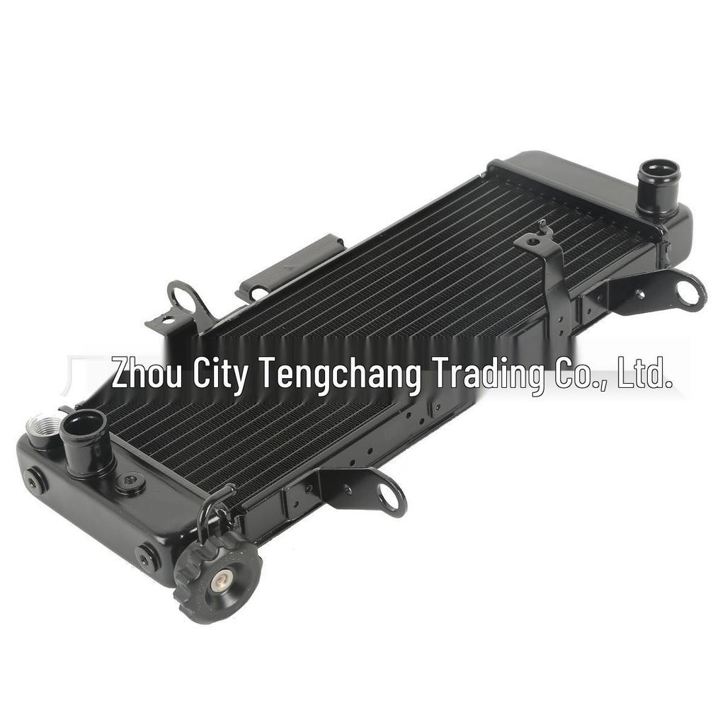 SV650 S Motorcycle Radiator Cooler (2003-2007) Modification Accessories