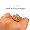 Adjustable Ring with Hidden Box DIY with Flip-top Box Women Open Ring French Style Courtly Style Retro Style Ring