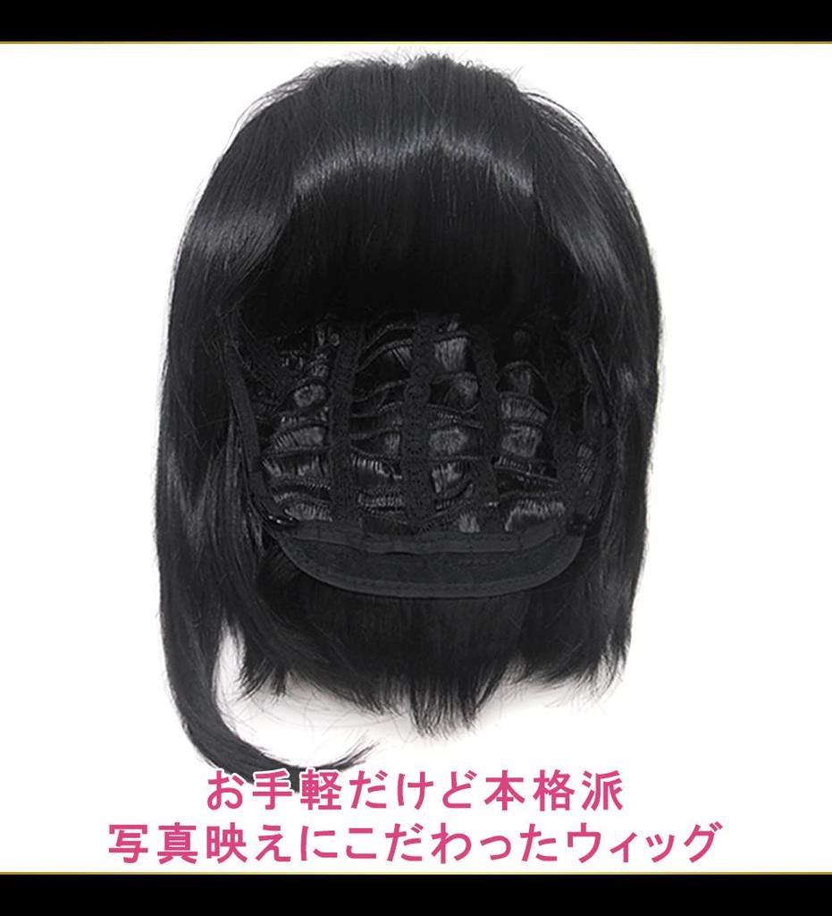 CaseEden Cosplay Twin Tail with Heat Black Includes 2 Wig Nets Wig, Short, Bun, Resistant, Hair,