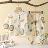 Children's Lightweight Cotton T-shirt Set - Summer Boys' Pajama Set For Kids, Girls' Casual Home Wear 2-piece Set