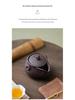 Purple Clay Treasure Bottle: Handmade Retro Ceramic Teapot for High-Grade Kung Fu Tea Tasting